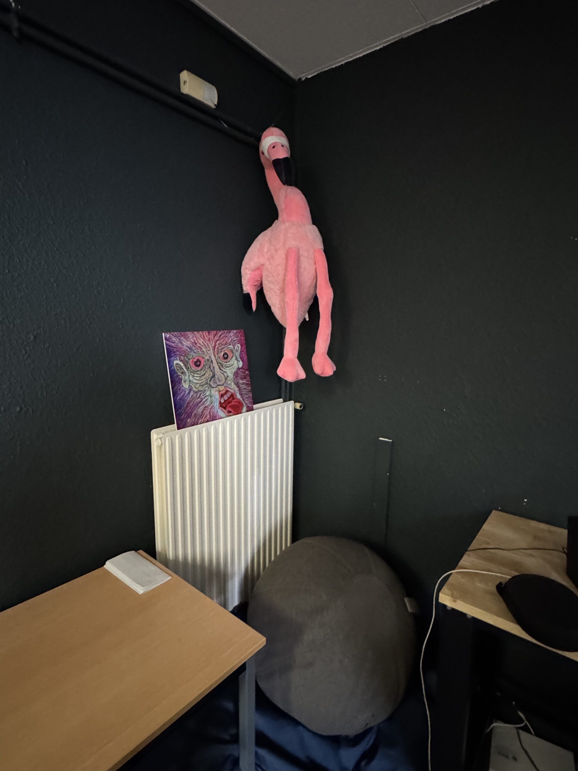 Flamant rose en peluche dans un coin de la salle aux murs vert foncé.